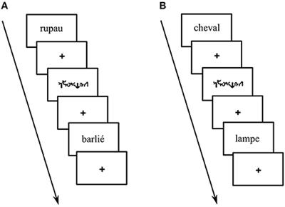 Effective Connectivity between Ventral Occipito-Temporal and Ventral Inferior Frontal Cortex during Lexico-Semantic Processing. A Dynamic Causal Modeling Study